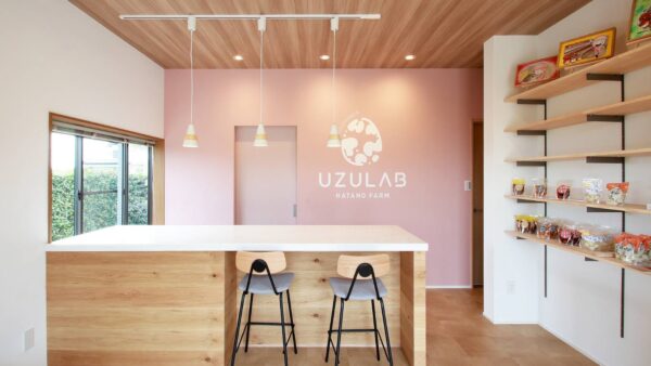 🎊2024.7.17　UZULABプレオープン🎊