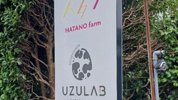 🎊2024.7.16　UZULAB完成🎊