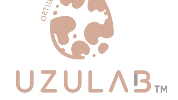 2024.5.27 商標出願中