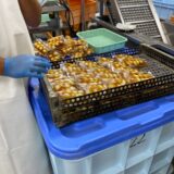 🥚2024.10.9 出荷先研修　その2🥚