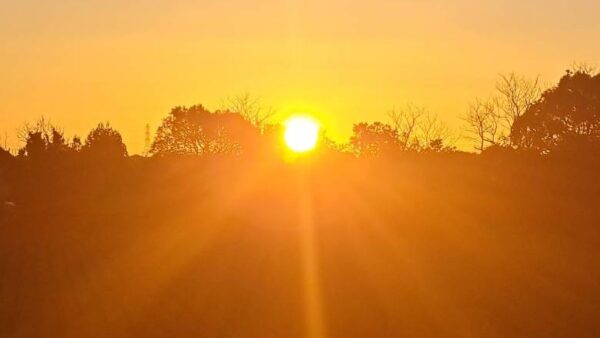 2024.1.1幡野ファーム、農場の風景