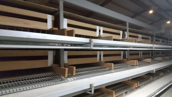 2022.3.1幡野ファーム、農場の風景