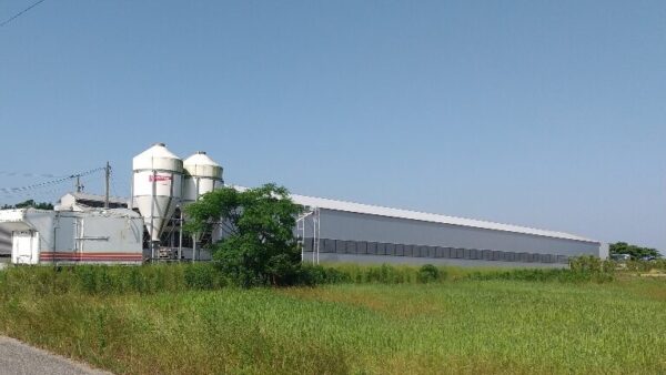 2024.7.2幡野ファーム、農場の風景