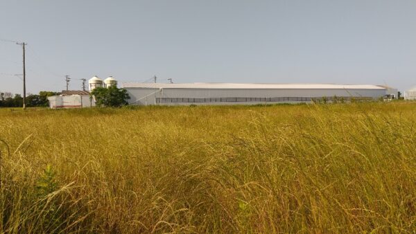 2024.9.25幡野ファーム、農場の風景