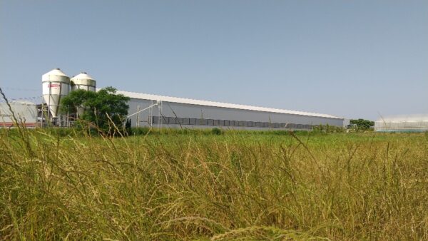 2024.8.30幡野ファーム、農場の風景