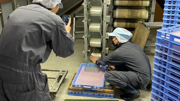 2024.12.18幡野ファーム、農場の風景