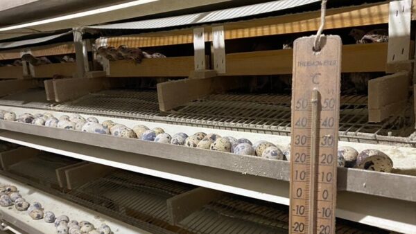 2024.12.18 幡野ファーム、農場の風景