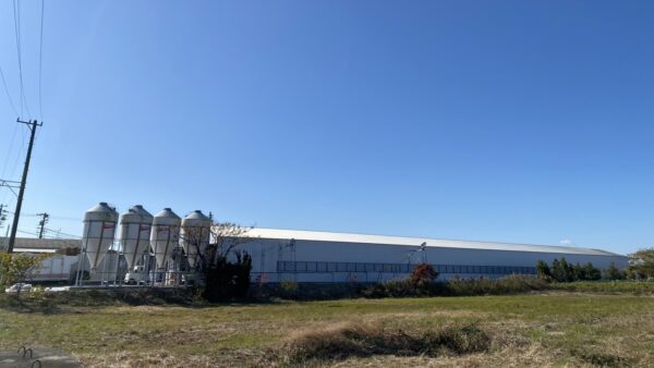 2024.12.20 幡野ファーム、農場の風景