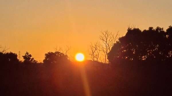 2025.1.1幡野ファーム、農場の風景