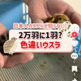 2024.12.26　TikTok始めました📸