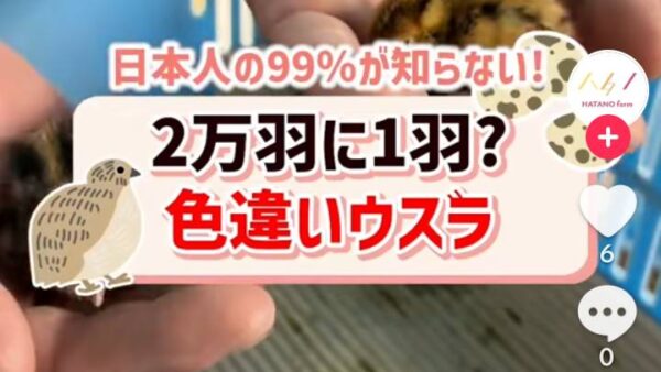 2024.12.26　TikTok始めました📸