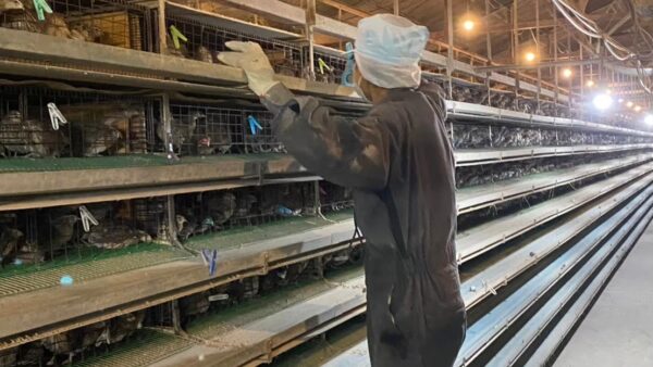 2024.12.17 幡野ファーム、日々の管理