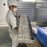 2025.1.16　幡野ファーム、農場の風景