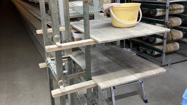 2025.1.27幡野ファーム、農場の風景　出荷作業