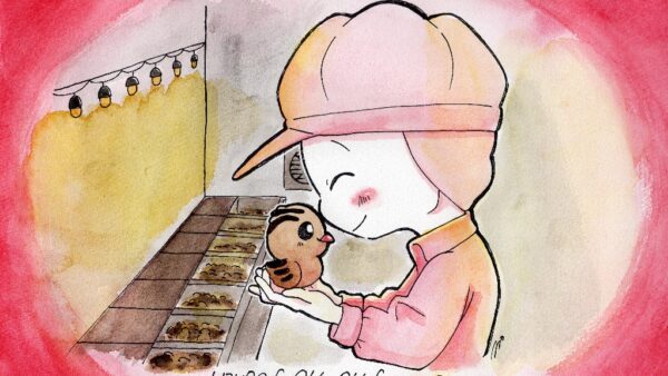 2025.2.25幡野ファーム、農場の風景　管理