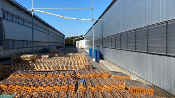 2025.2.10幡野ファーム、農場の風景