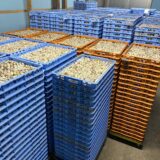 2025.2.10　幡野ファーム農場の風景　