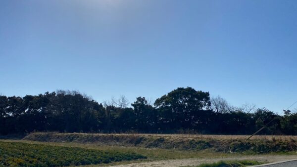 2025.2.14幡野ファーム、農場から見た景色