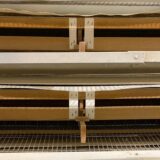 2025.2.11幡野ファーム、農場の風景 成鶉舎引っ越し