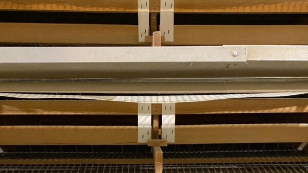 2025.2.11幡野ファーム、農場の風景 成鶉舎引っ越し