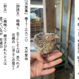 うずら、万葉集での紹介