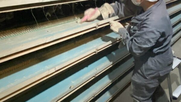 2025.3.17幡野ファーム、農場の風景　新人スタッフ2🌱