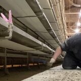 2025.3.3幡野ファーム、農場の風景