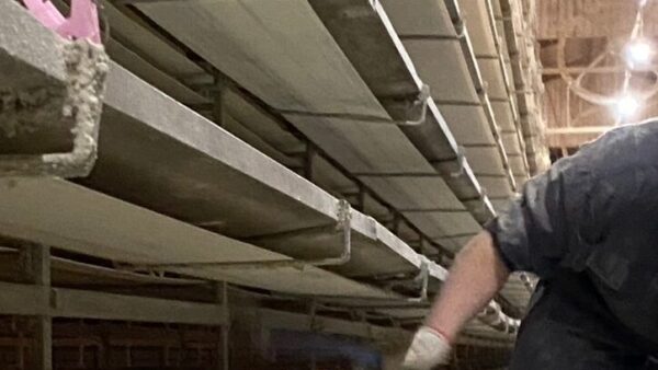 2025.3.3幡野ファーム、農場の風景