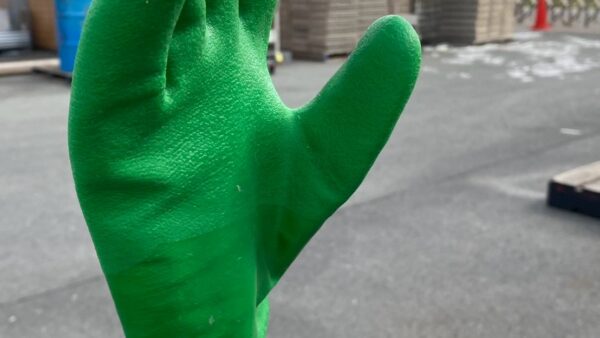 2025.3.6 幡野ファーム、農場の風景