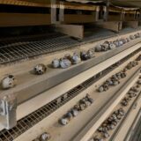 2025.3.6 幡野ファーム、農場の風景 成鶉舎