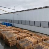 画像に alt 属性が指定されていません。ファイル名: LINE_ALBUM_2025.3.3-_250303_3-768x1024.jpg