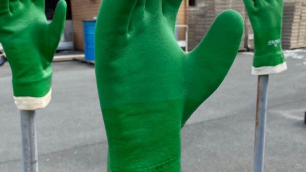 2025.4.15幡野ファーム、農場の風景