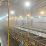 2025.4.22幡野ファーム、育成場洗浄