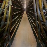 2025.4.17幡野ファーム、農場の風景 ながーーいです