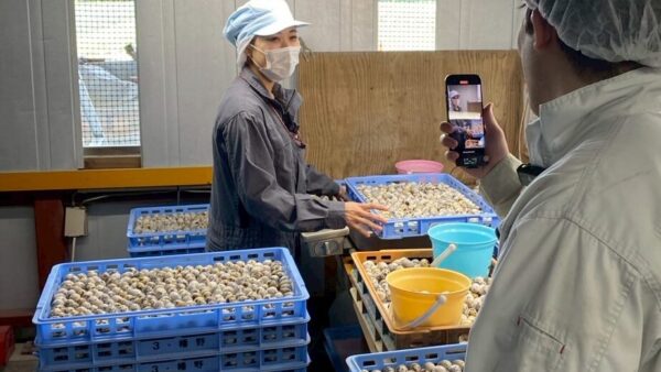 2025.4.9幡野ファーム、TikTok撮影風景④📸