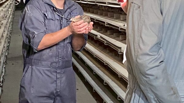 2025.4.9幡野ファーム、TikTok撮影風景③📸