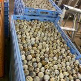 2025.5.22幡野ファーム、農場の風景