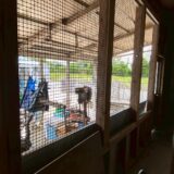 2025.5.22幡野ファーム、農場の風景