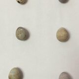 2025.5.30 幡野ファーム、少し変わったたまごたち