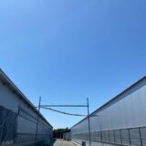 2025.5.8幡野ファーム、農場から見た景色👀