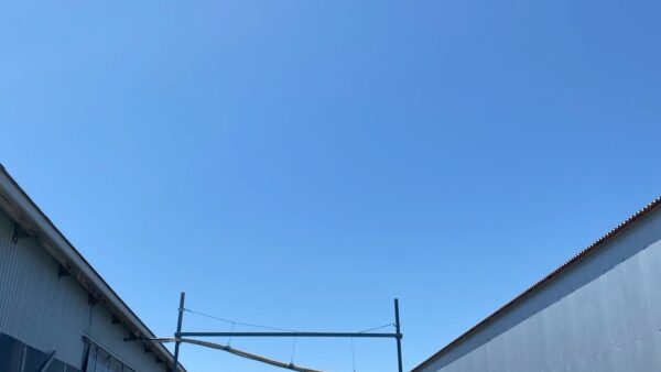 2025.5.8幡野ファーム、農場から見た景色👀