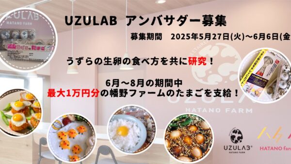 2025.5.27　利用規約