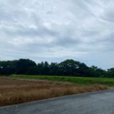 2025.6.23幡野ファーム、農場の風景