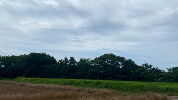 2025.6.23幡野ファーム、農場の風景