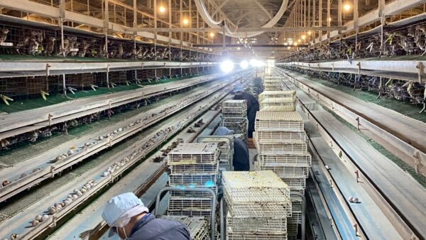 2025.6.27幡野ファーム、引っ越し