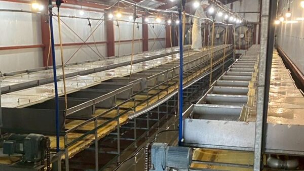 2025.7.1幡野ファーム、農場の風景