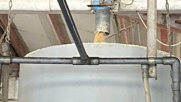 2025.7.22幡野ファーム、農場の風景