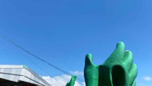 2025.7.24幡野ファーム、農場の風景