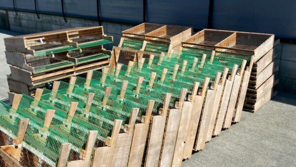 2025.7.28幡野ファーム、農場の風景