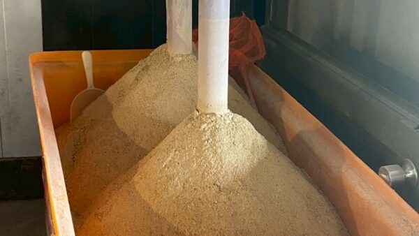 2025.7.31幡野ファーム、農場の風景